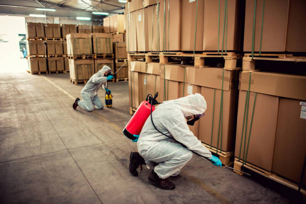 Best Wildlife Control Services  in Phoenix, IL