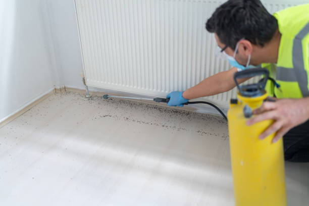 Best Residential Pest Control  in Phoenix, IL